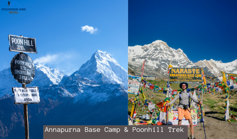Explore the Beauty of Annapurna with the Annapurna Base Camp and Poon Hill Trek – The Ultimate Adventure in Nepal