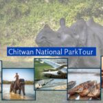 Exploring the Wonders of Chitwan A 2 Nights, 3 Days Tour Package