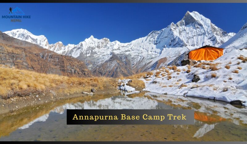 Trekking to Annapurna Base Camp Majestic Peaks and Alpine Beauty