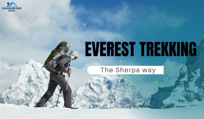 The Secret to Trekking to Everest Base Camp The Sherpa Way