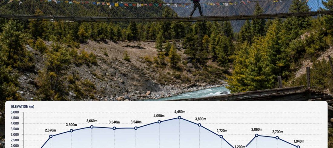 Annapurna Circuit trek elevation chart showing the day-by-day altitude profile from Besisahar to Pokhara, including Chame, Upper Pisang, Manang, Yak Kharka, Thorong Phedi, Muktinath, Jomsom, Tatopani, Ghorepani, Tadapani, and Ghandruk.
