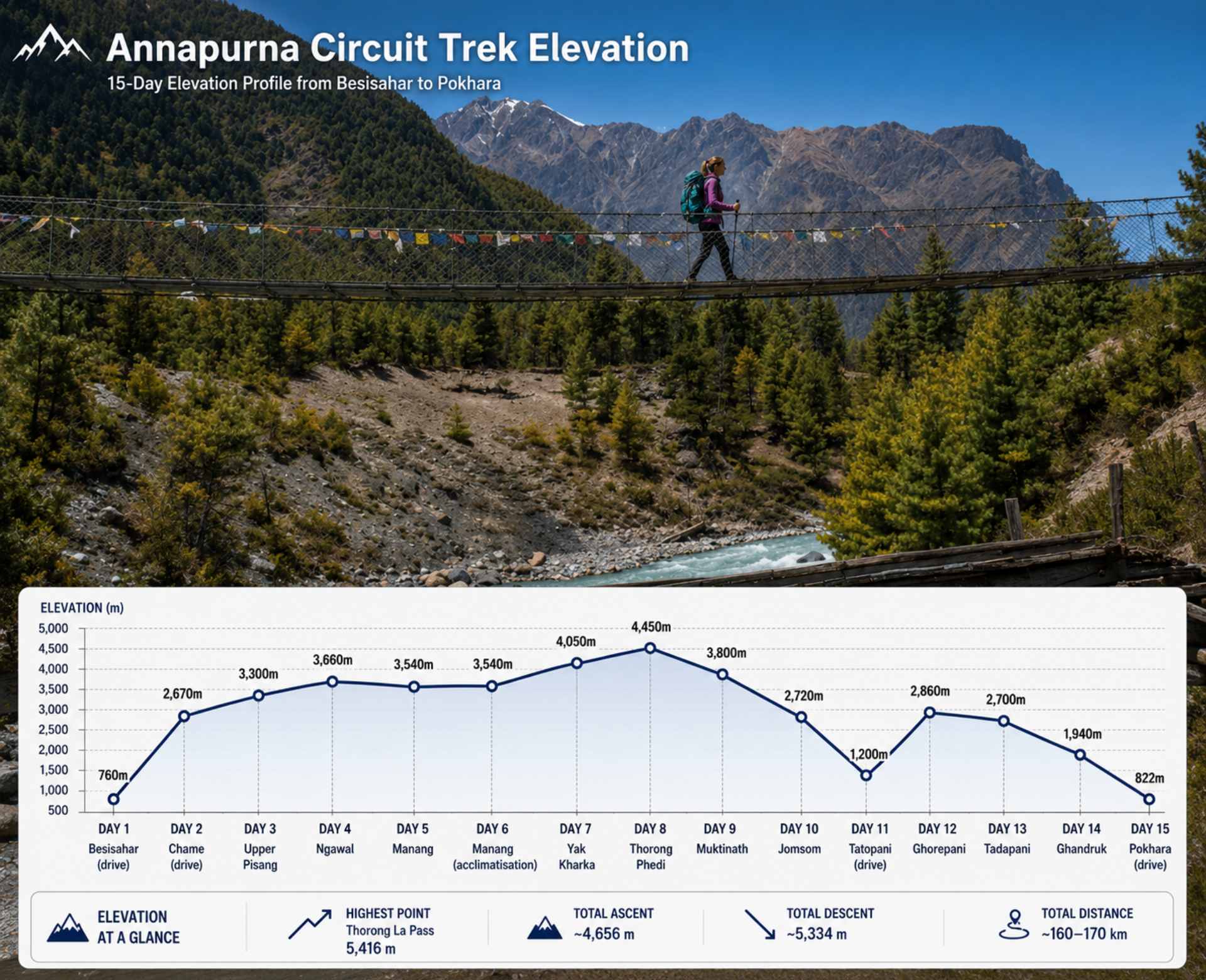 Annapurna Circuit trek elevation chart showing the day-by-day altitude profile from Besisahar to Pokhara, including Chame, Upper Pisang, Manang, Yak Kharka, Thorong Phedi, Muktinath, Jomsom, Tatopani, Ghorepani, Tadapani, and Ghandruk.