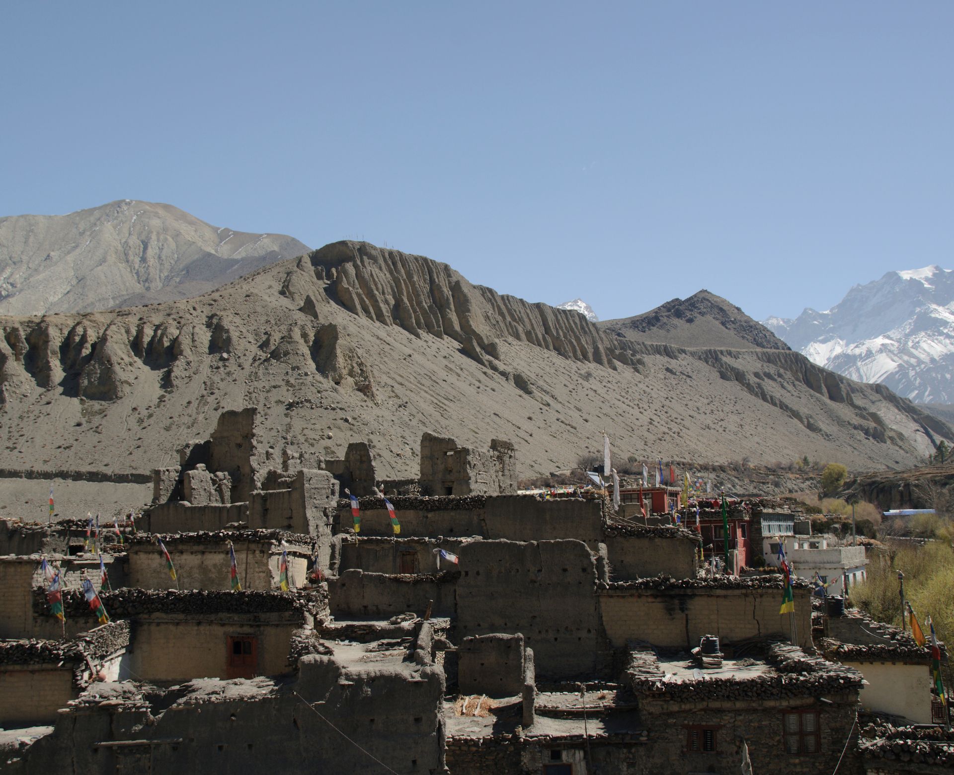 upper mustang
