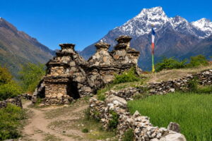 Stone Chortens on a Trail in Upper Tsum Valley, Manaslu Tsum Valley Trek Old stone chortens beside a dirt trail and green fields, with a prayer flag and a snow-capped peak behind