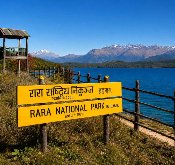 4WD jeep tour to Rara Lake with crystal-clear blue water and Himalayan scenery in Nepal