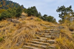 Stone steps on the Champadevi trail Old stone steps climbing a grassy hillside on the Champadevi hiking trail