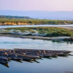 Row of wooden dugout canoes moored on a calm river beside a grassy sandbank at dusk