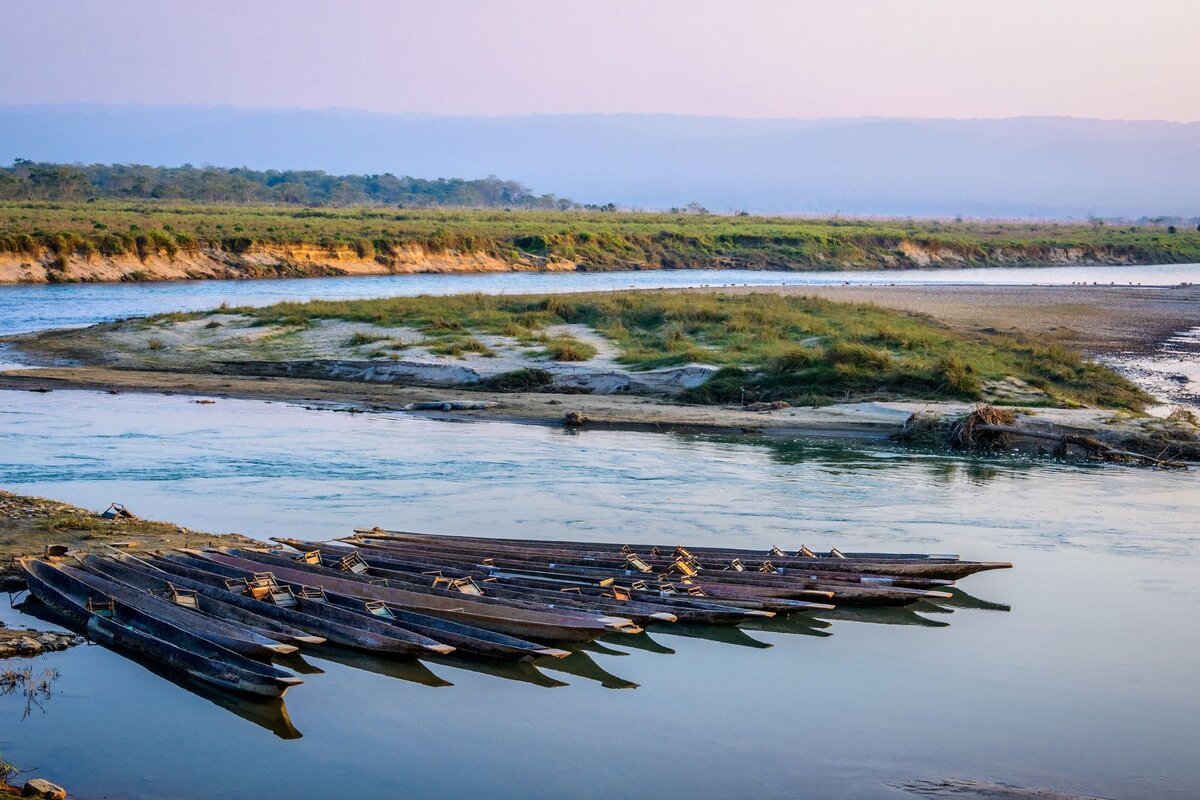 Row of wooden dugout canoes moored on a calm river beside a grassy sandbank at dusk